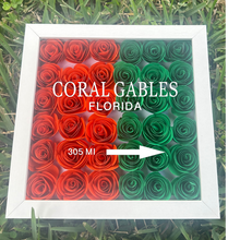 Load image into Gallery viewer, The College Town Shadow Box