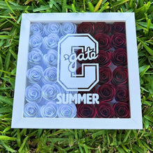 Load image into Gallery viewer, College Shadow Box