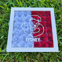 Load image into Gallery viewer, College Shadow Box