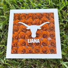 Load image into Gallery viewer, College Shadow Box