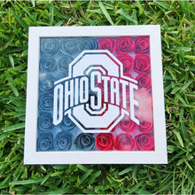 Load image into Gallery viewer, College Shadow Box