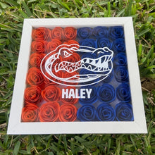 Load image into Gallery viewer, College Shadow Box